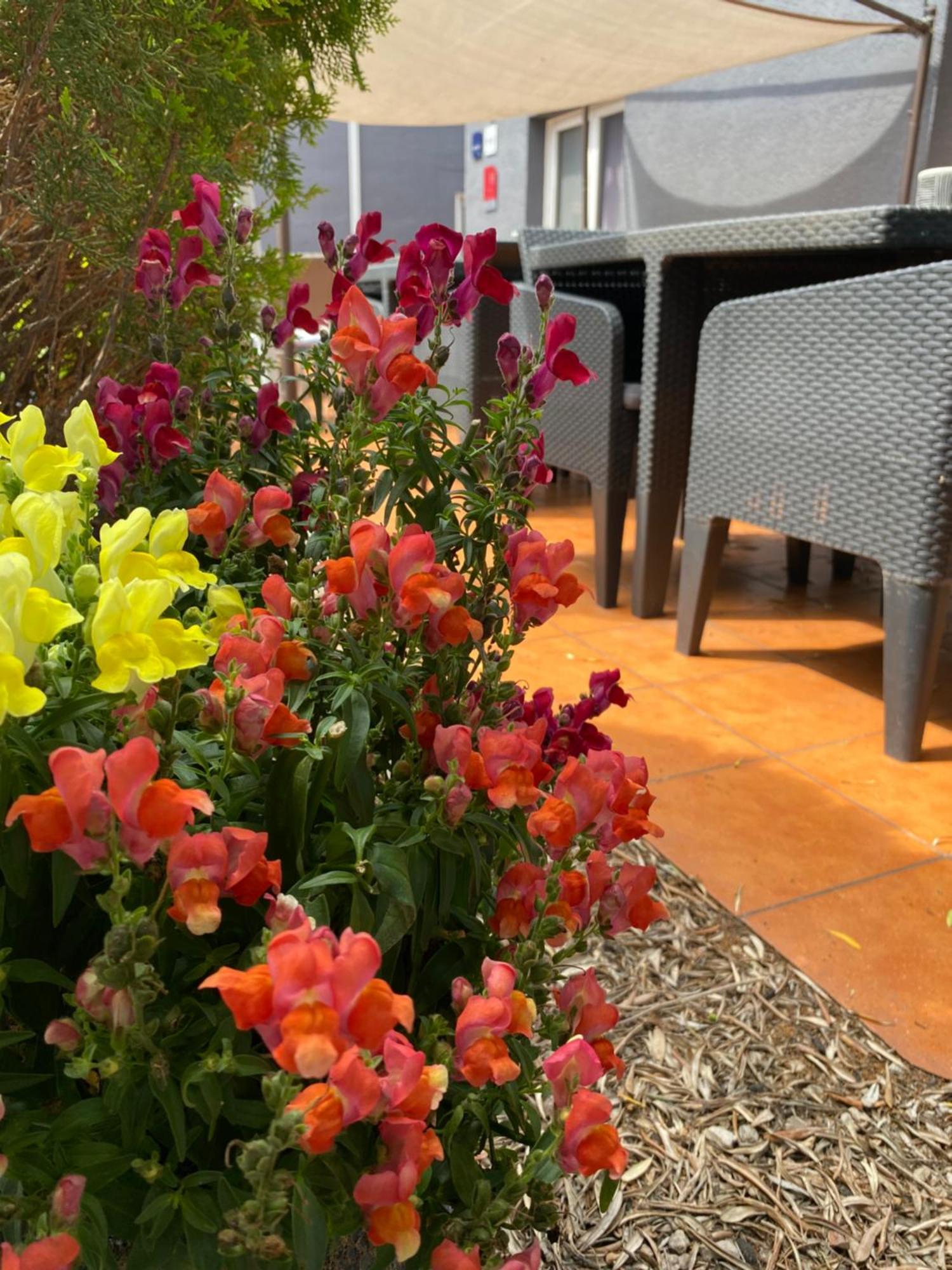 Contact Hotel Le Sud Montpellier Aeroport Parc Expo Arena Mauguio Buitenkant foto